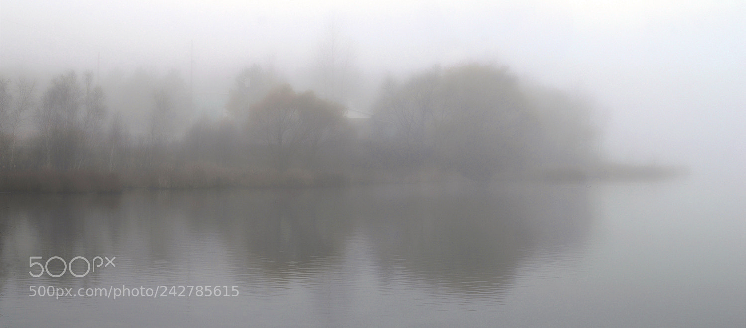Nikon D3100 sample photo. November photography