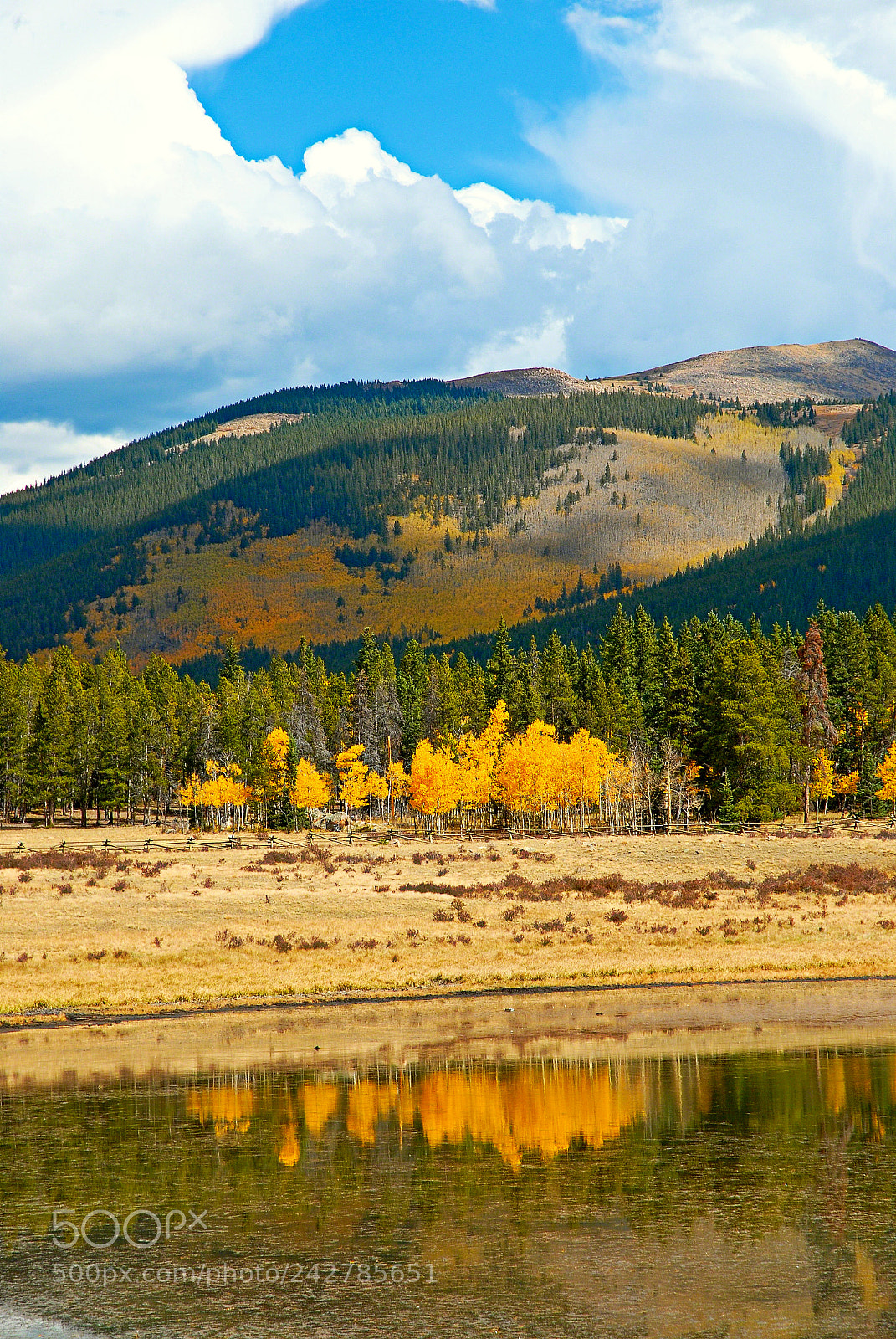 Nikon D200 sample photo. Kenosha pass aspens 4 photography