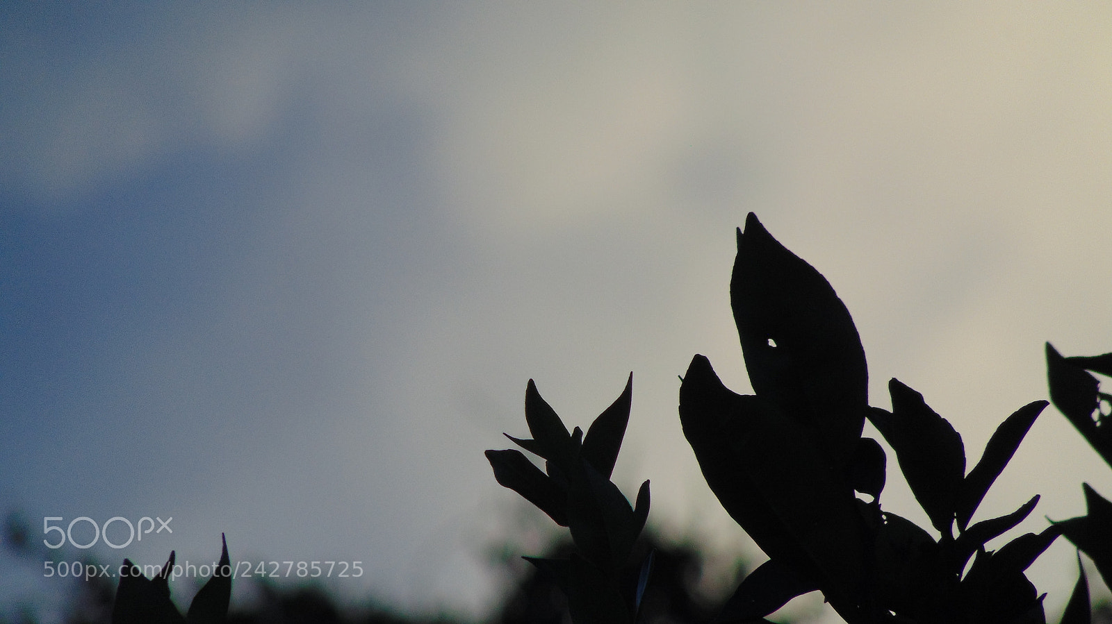 Sony Cyber-shot DSC-H300 sample photo. Pacman photography