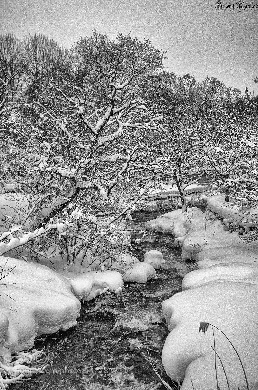 Pentax K-50 sample photo. Small stream photography