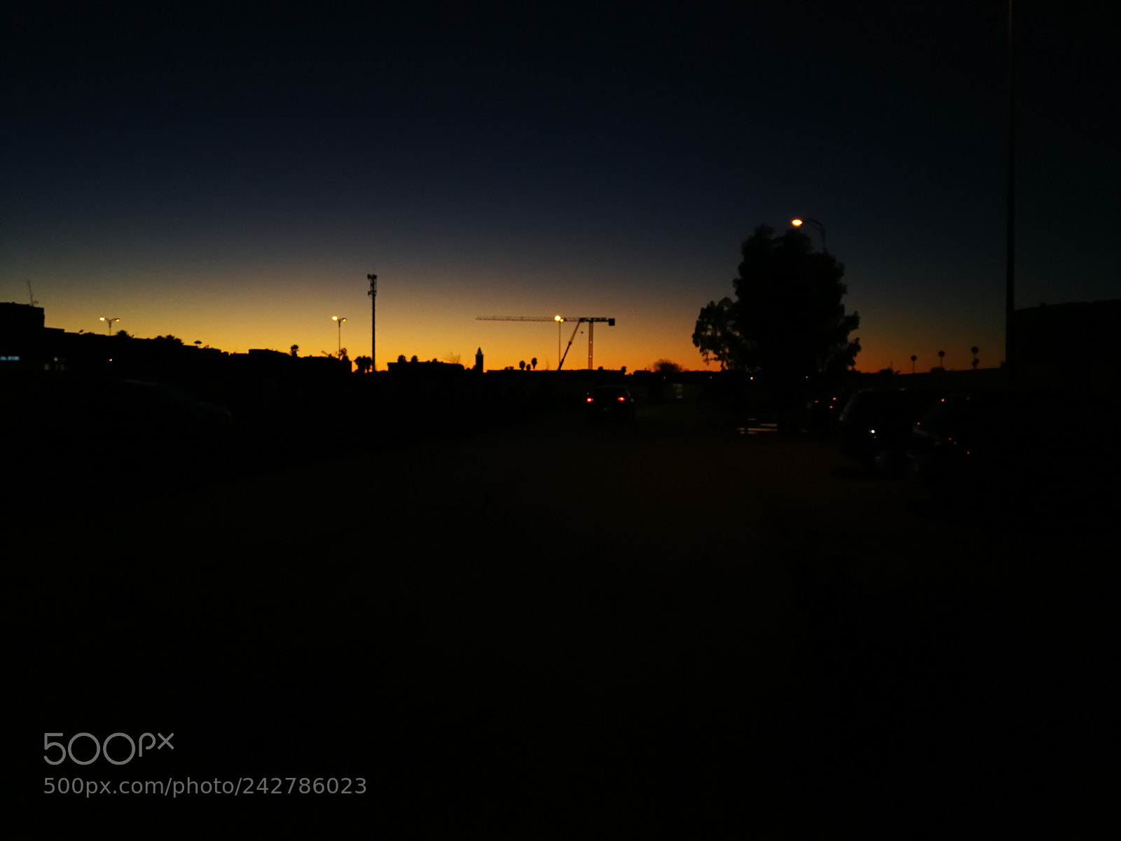 HUAWEI P10 sample photo. Untitled photography
