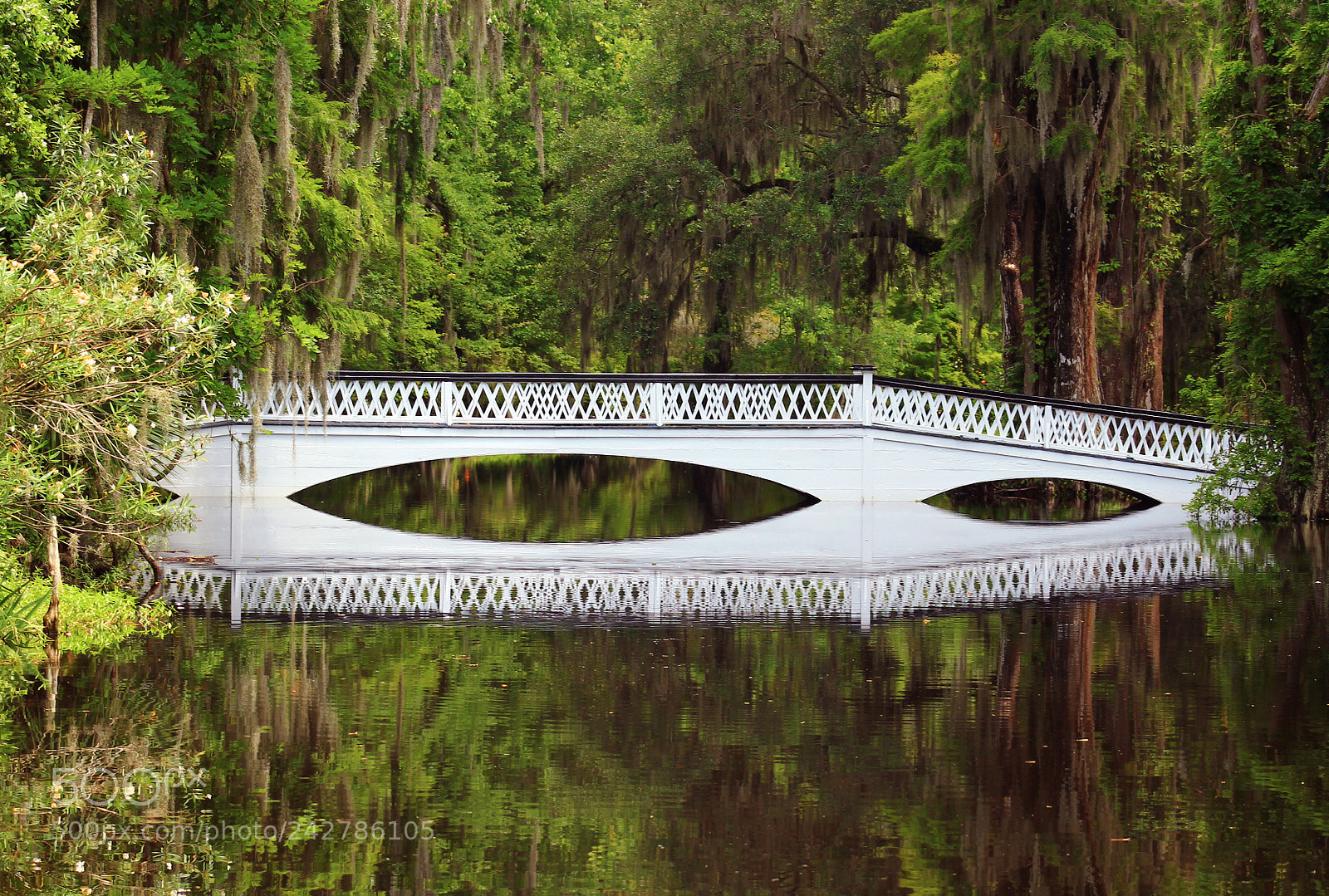 Canon EOS 1100D (EOS Rebel T3 / EOS Kiss X50) sample photo. White bridge, magnolia plantation photography