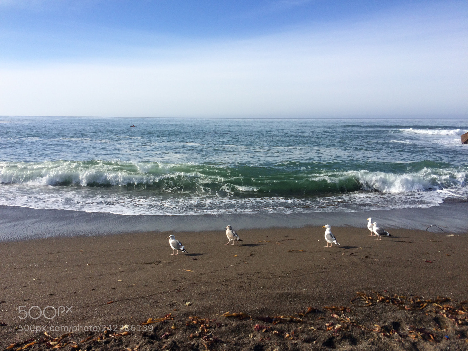 Apple iPhone 5s sample photo. The coast photography