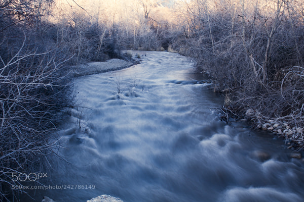 Canon EOS 100D (EOS Rebel SL1 / EOS Kiss X7) sample photo. Shadowed creek photography