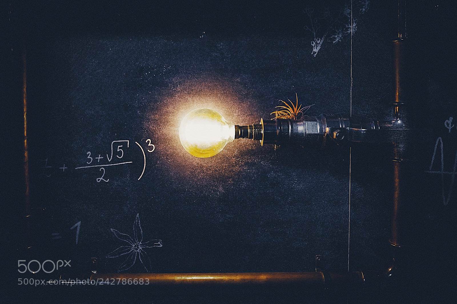 Nikon D7200 sample photo. Lightbulb photography