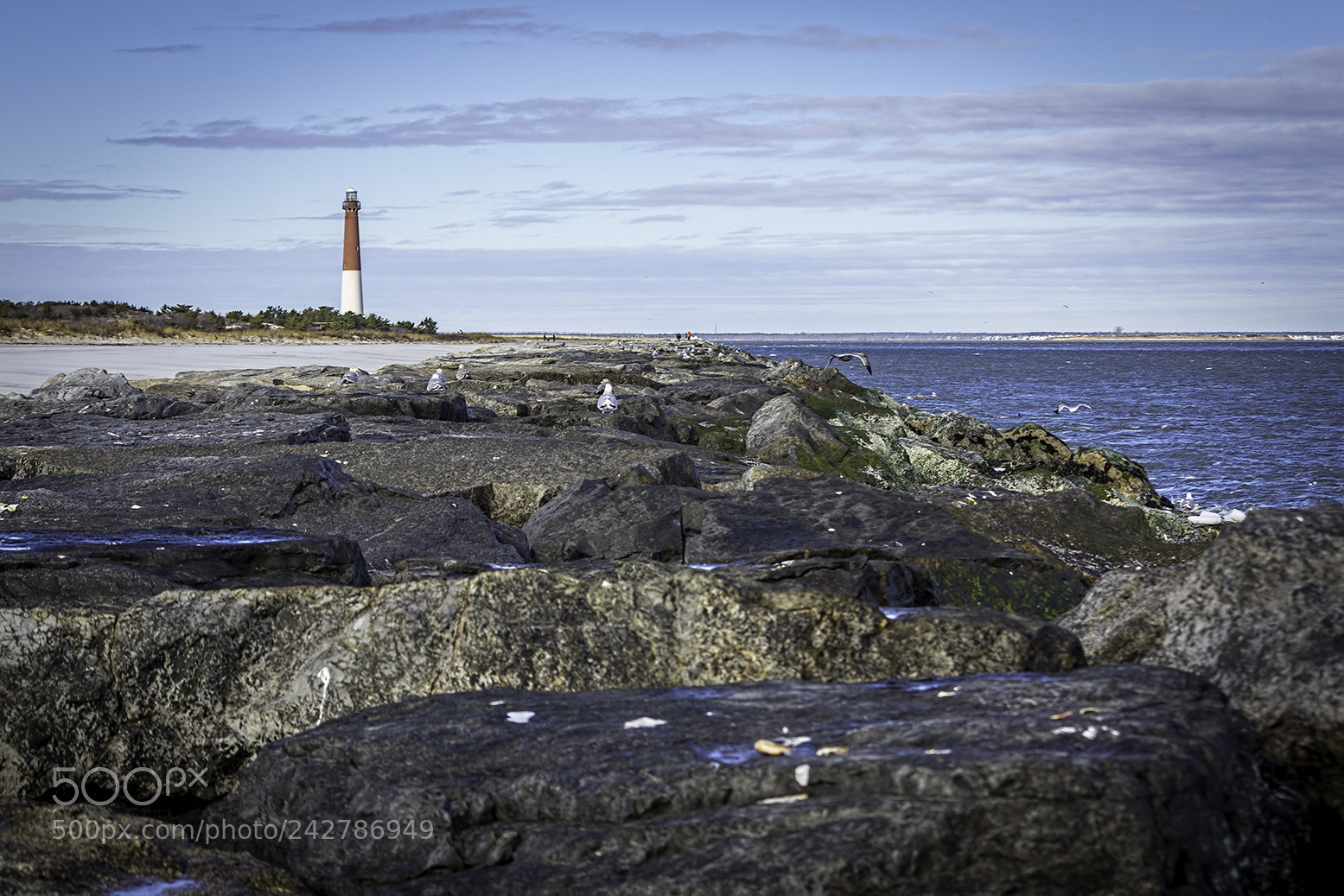 Canon EOS 60D sample photo. Barnegat light jetty photography