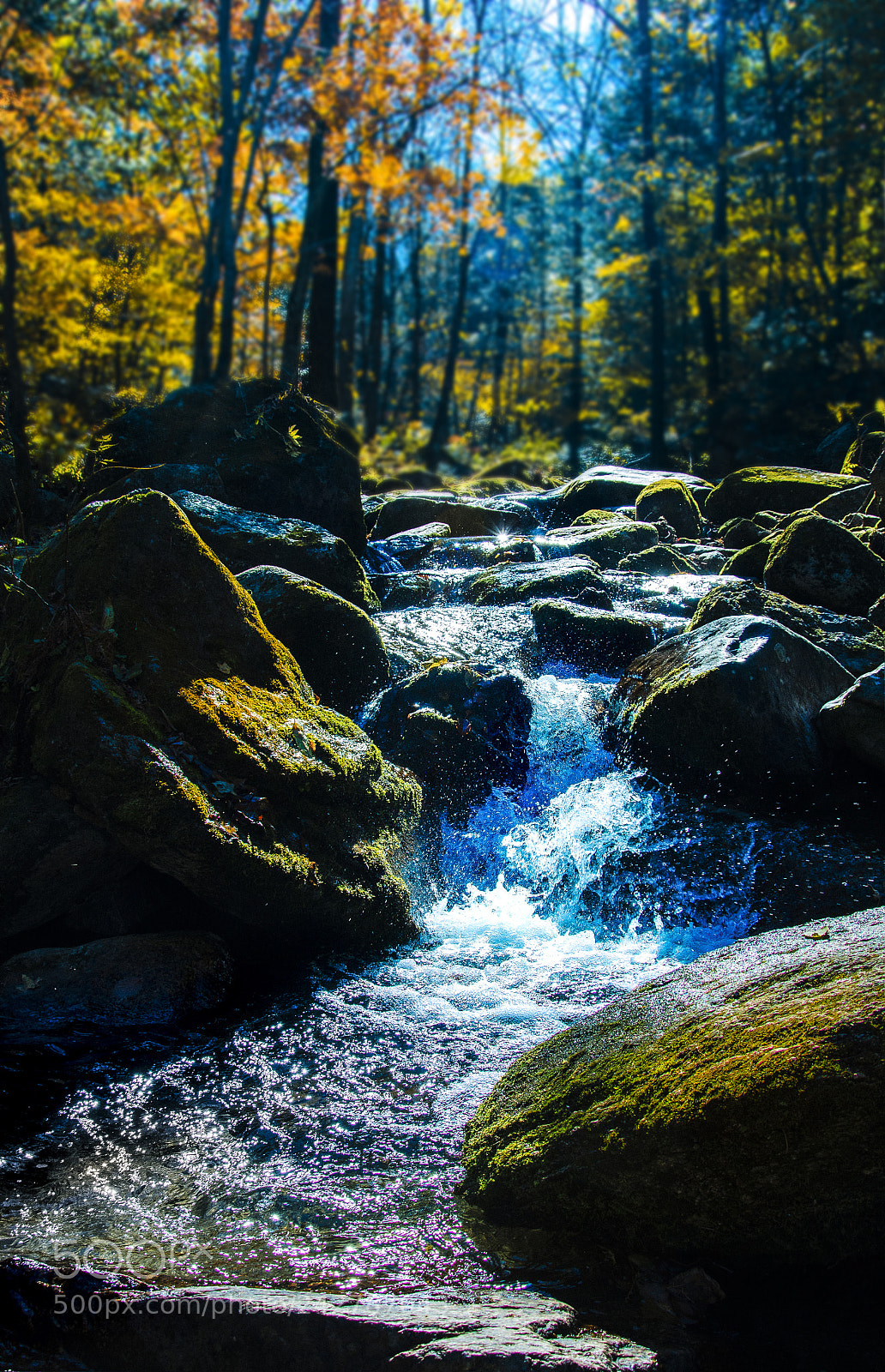 Nikon D7100 sample photo. Fzy photography