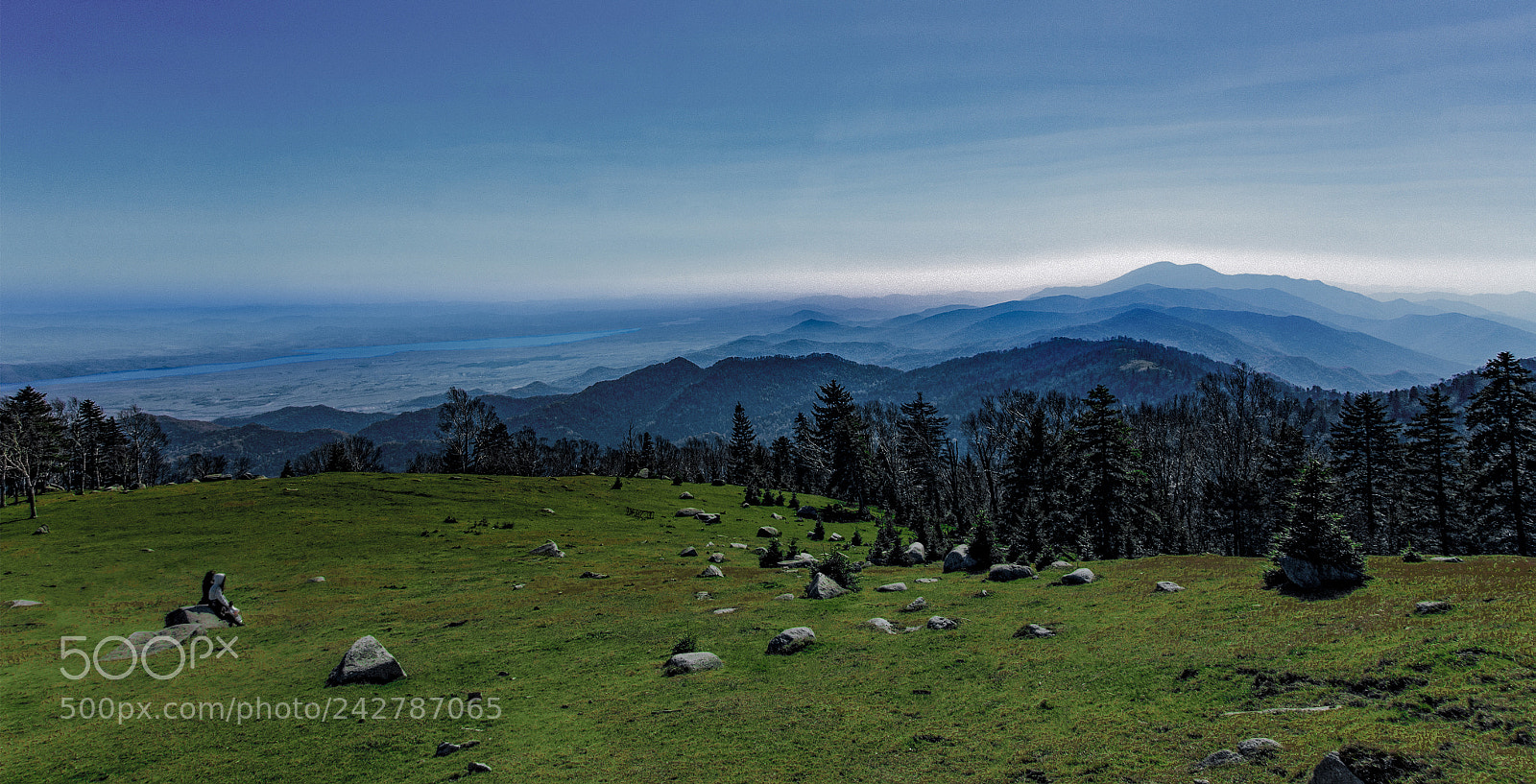 Nikon D7100 sample photo. Fzy photography