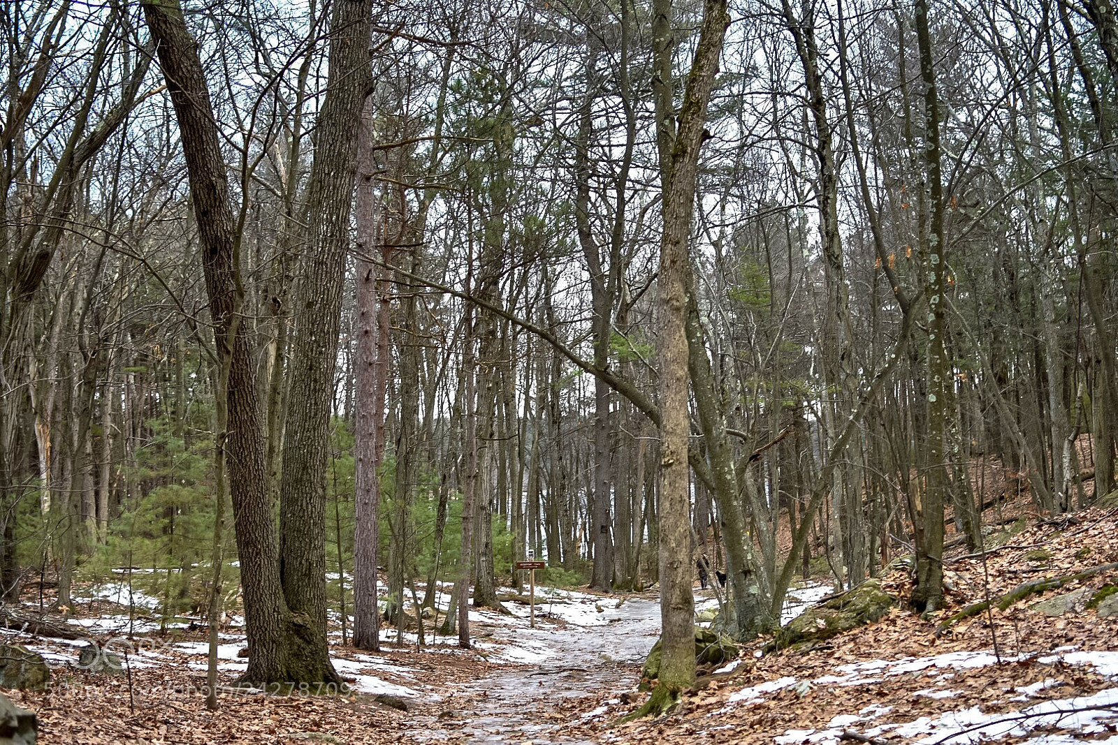 Nikon D7200 sample photo. Barren photography