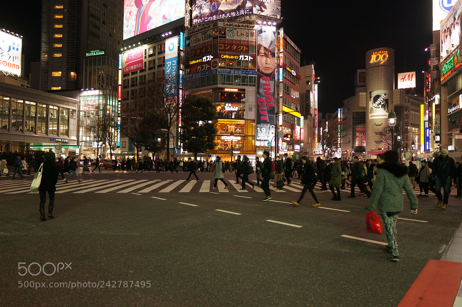 Sony Alpha NEX-5N sample photo. Shibuya crossing photography