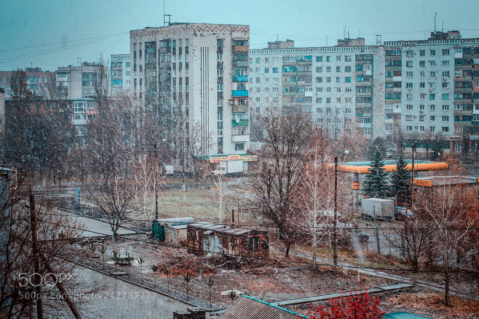 Nikon D3100 sample photo. Cjty photography