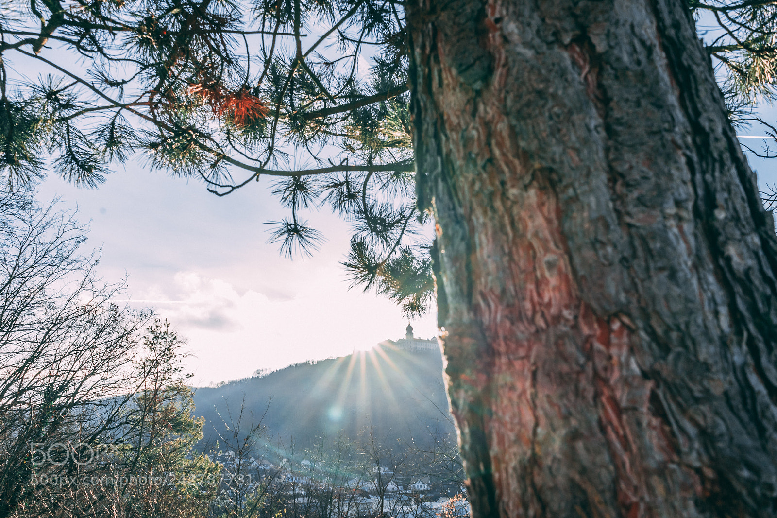 Sony a7 II sample photo. Untitled photography