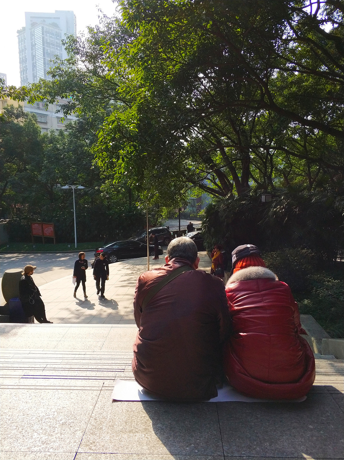 Xiaomi MI6 sample photo. Untitled photography