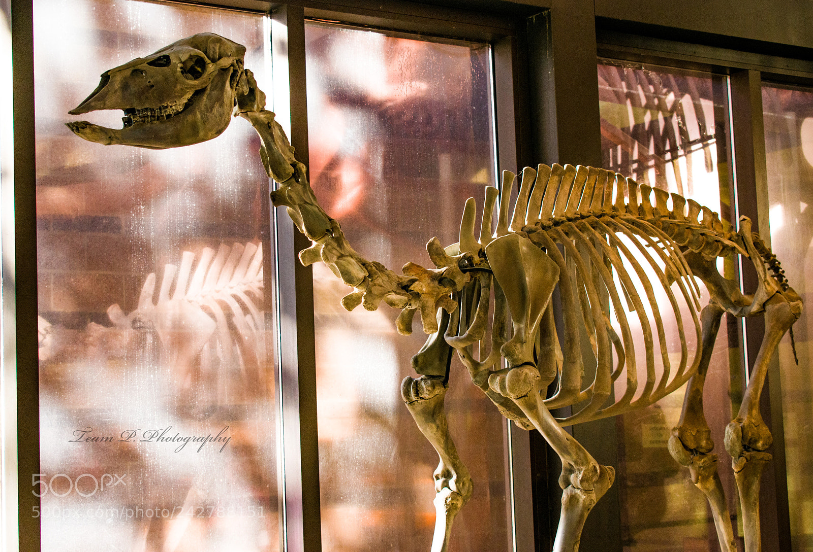 Nikon D3400 sample photo. Self-reflection photography