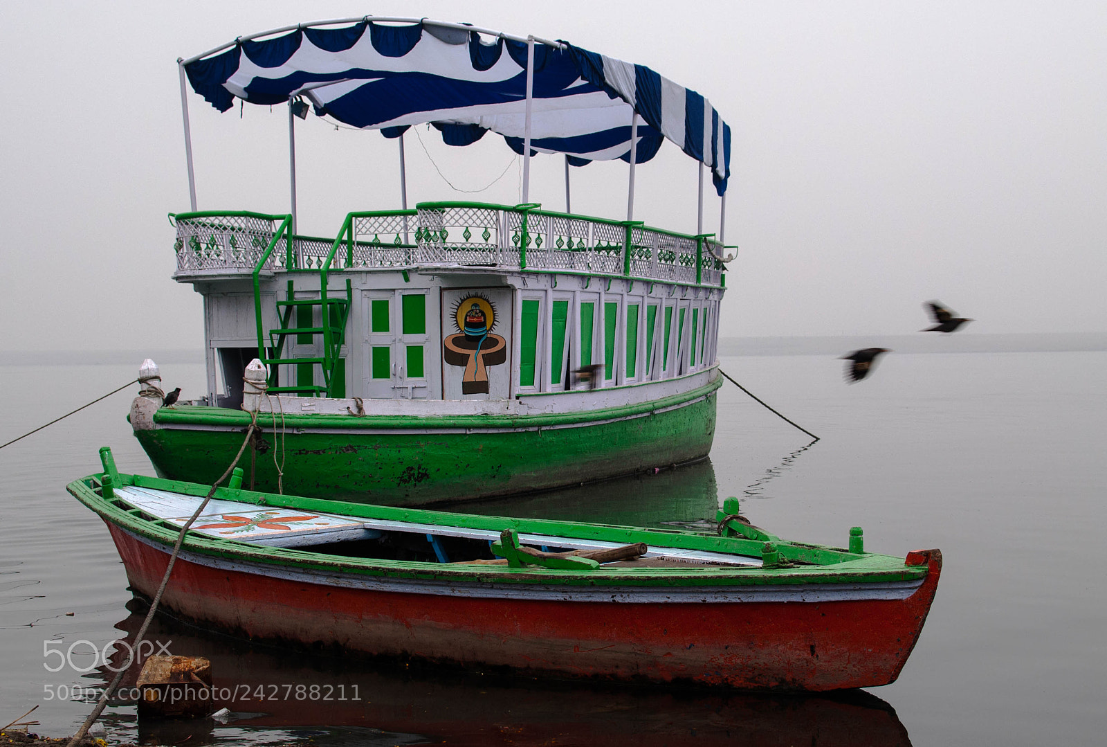 Nikon D3000 sample photo. Escape photography