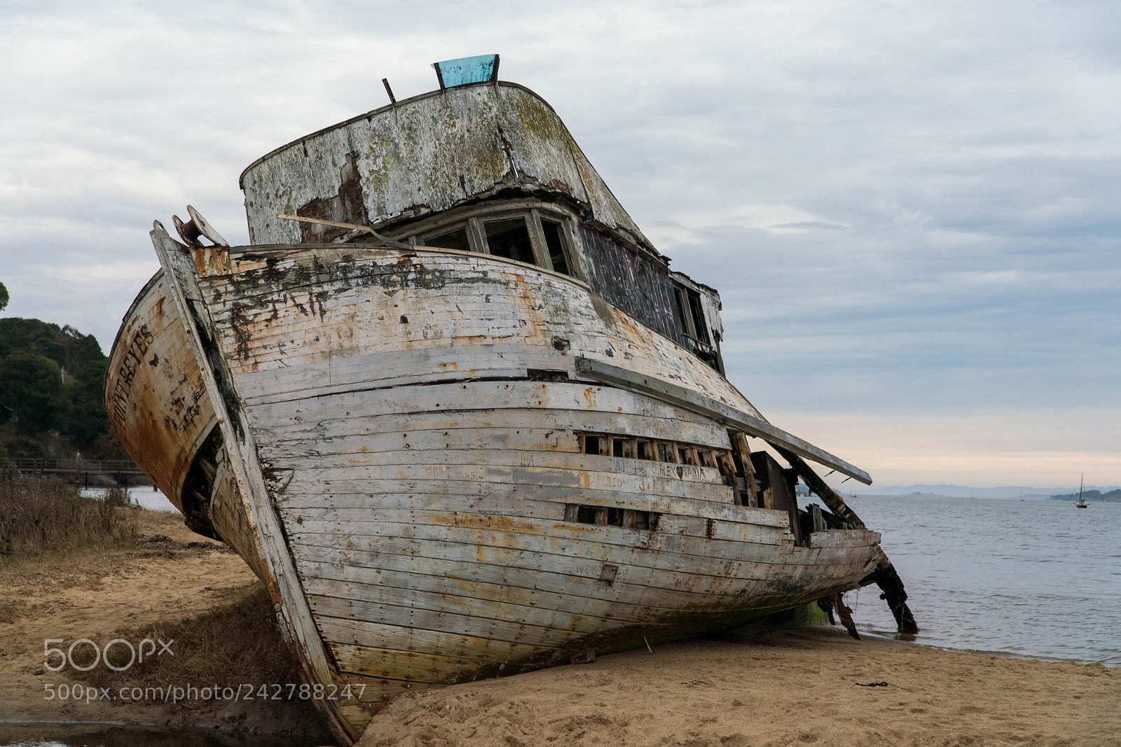 Sony a7R III sample photo. Point reyes sunken ship photography