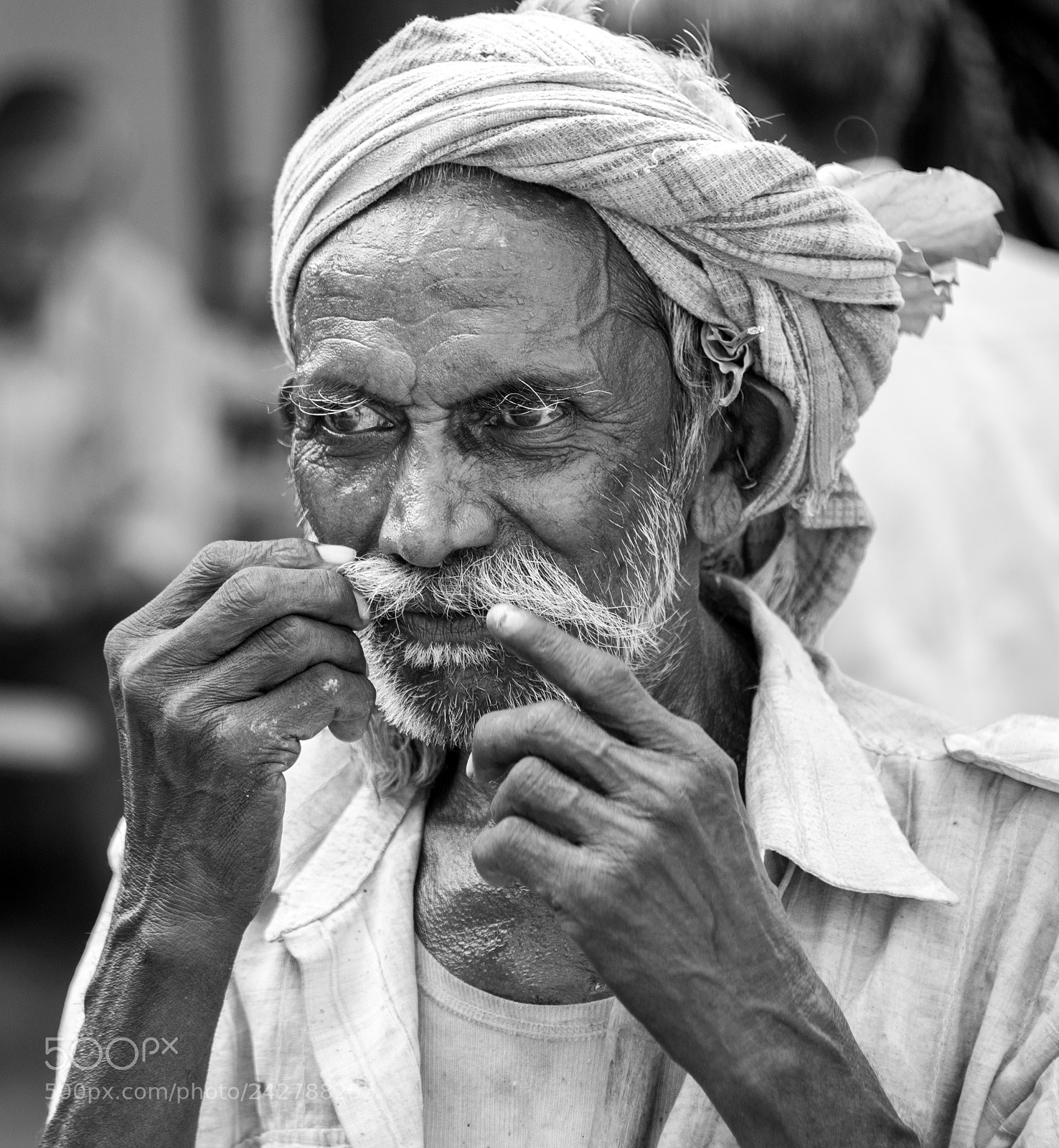 Nikon D800 sample photo. Moustace photography