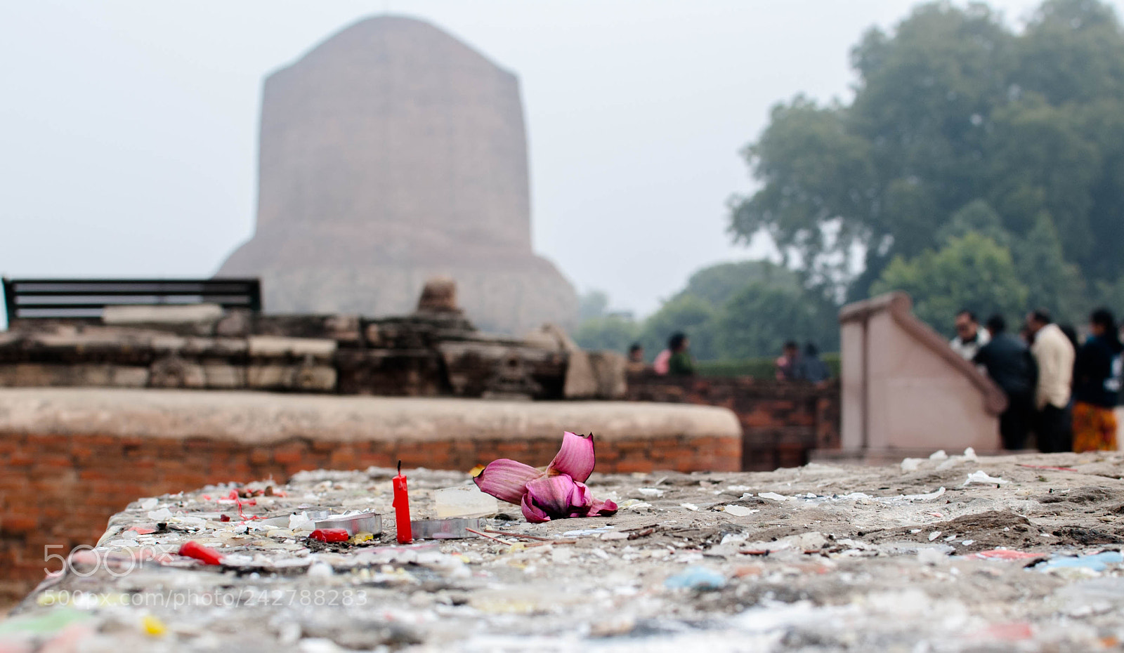 Nikon D3000 sample photo. Other shrine photography