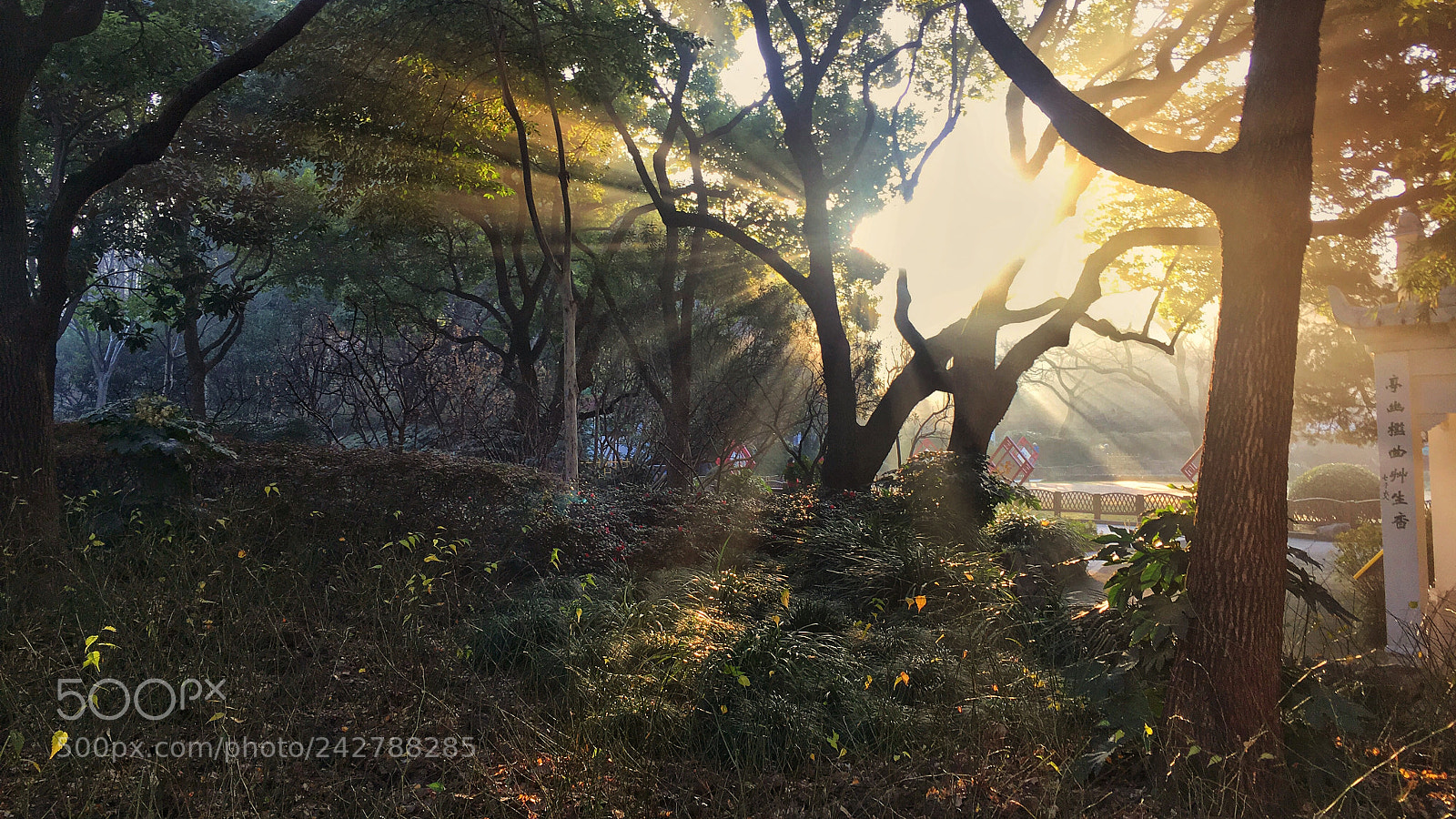 Apple iPhone 6s sample photo. 漕溪公园2 photography