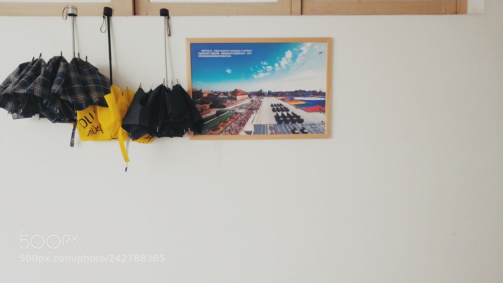 Xiaomi MI6 sample photo. Untitled photography