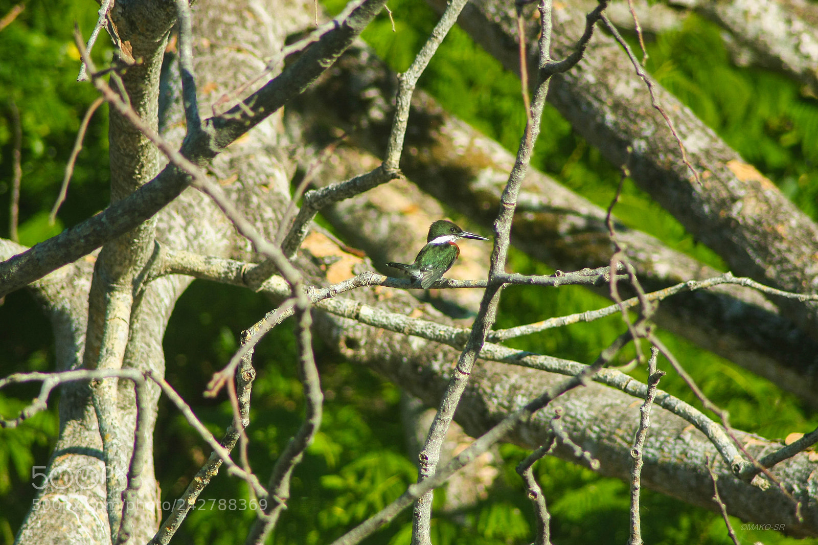 Canon EOS 40D sample photo. Tomando el sol photography
