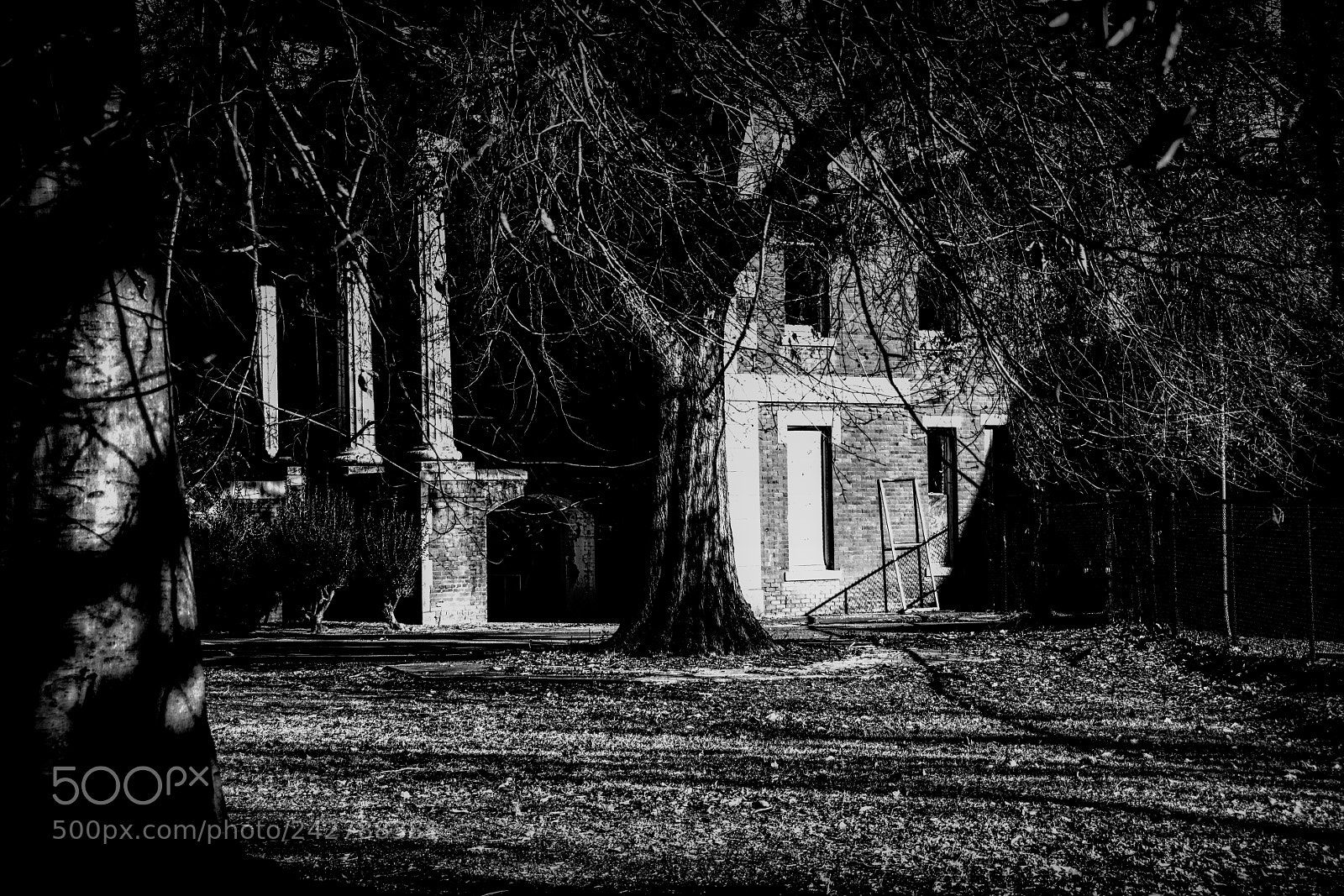 Nikon D600 sample photo. Columns on old asylum photography