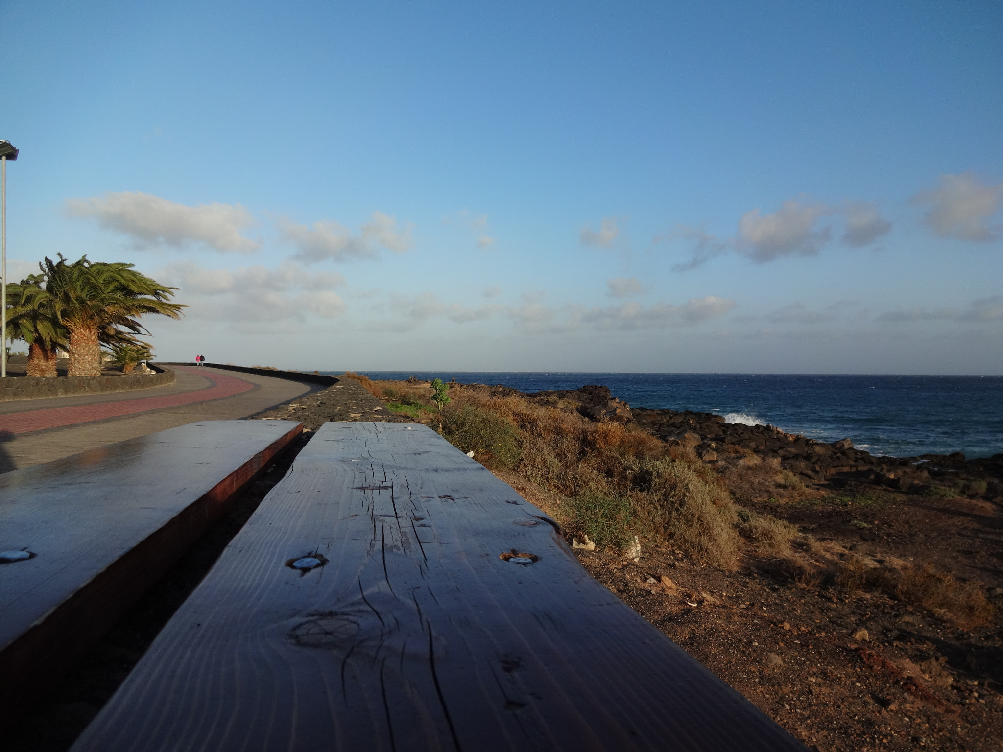 Sony Cyber-shot DSC-QX10 sample photo. A plank photography