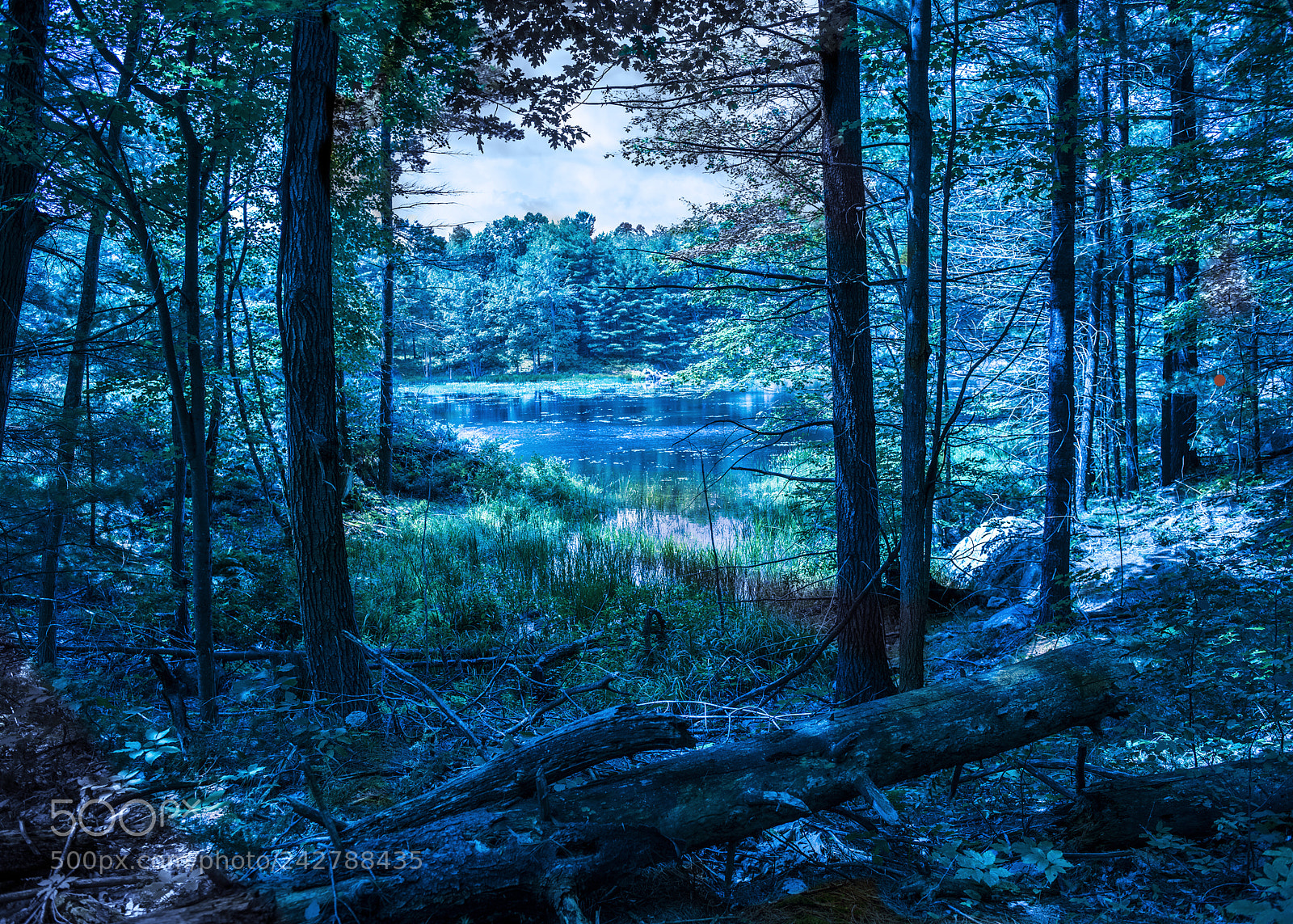 Nikon D810 sample photo. Northern lakes photography