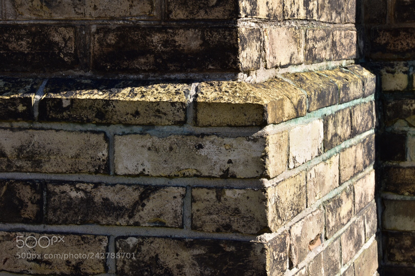 Nikon D7200 sample photo. Untitled photography