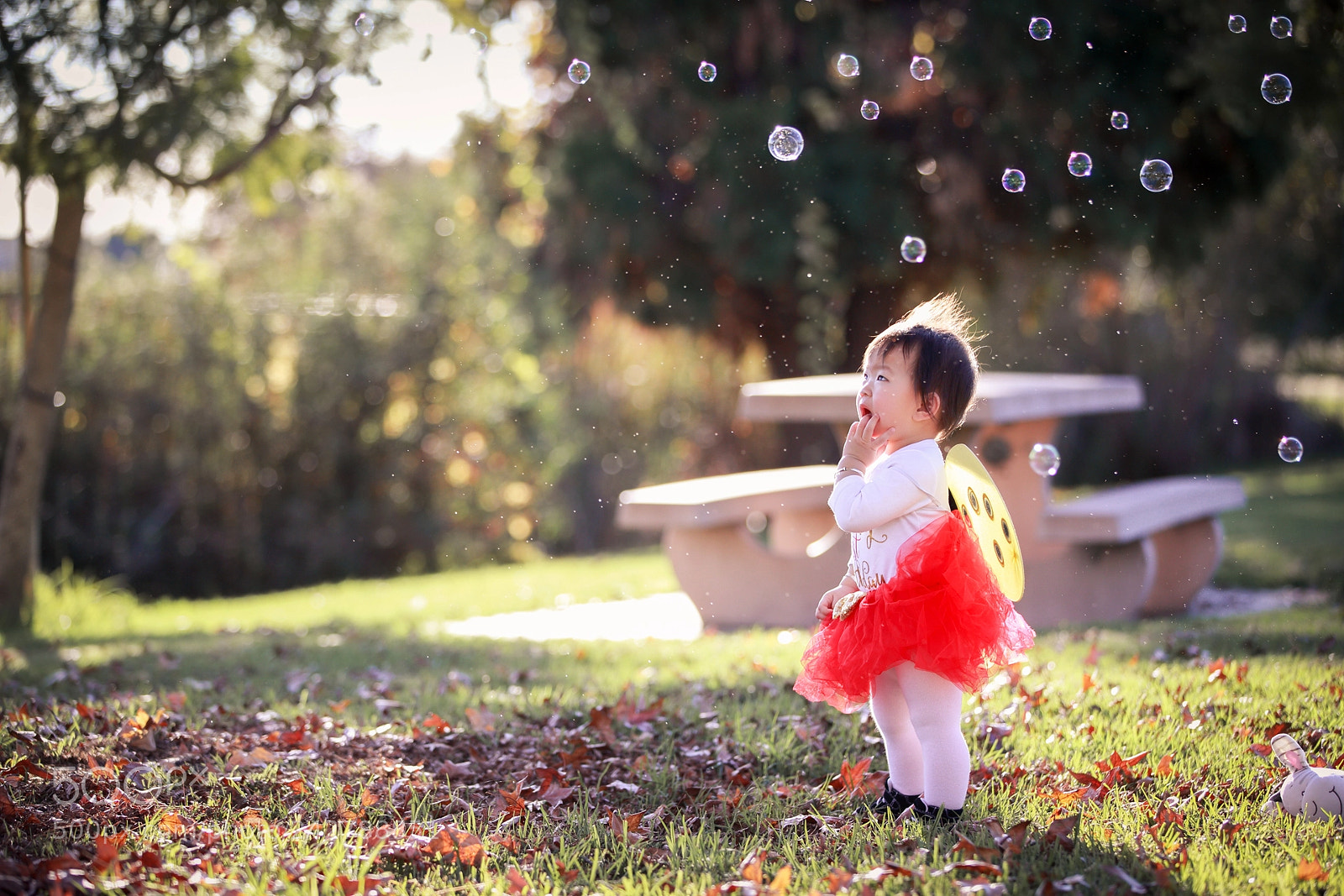 Canon EOS-1D X sample photo. Hq photography