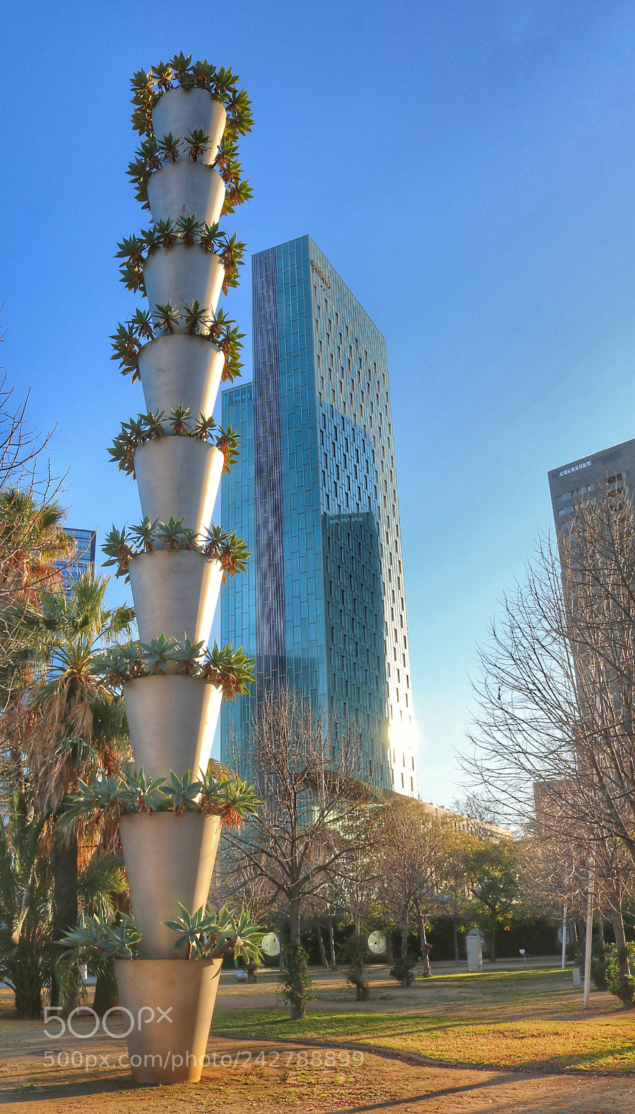Canon EOS 750D (EOS Rebel T6i / EOS Kiss X8i) sample photo. 'aloe' from barcelona photography