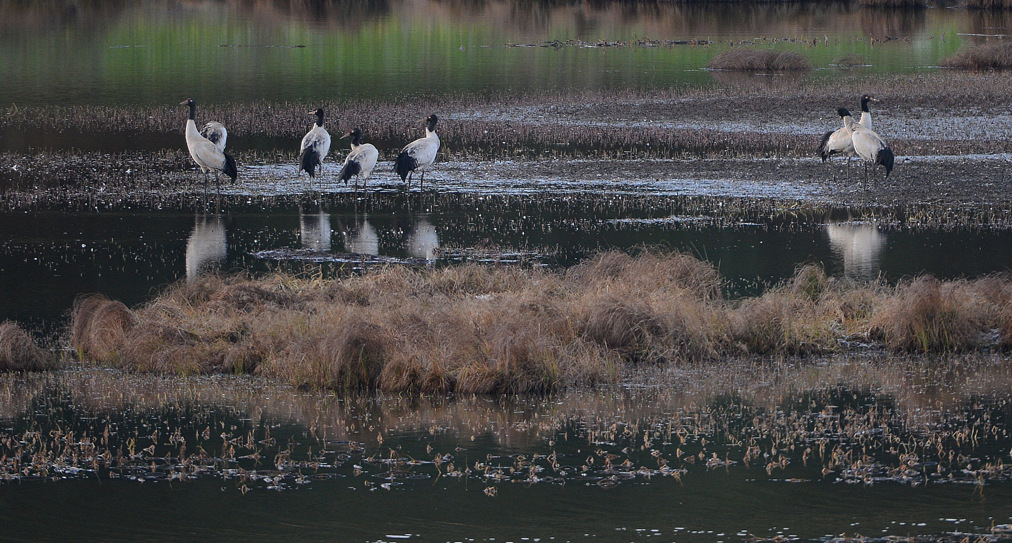 Nikon D800 sample photo
