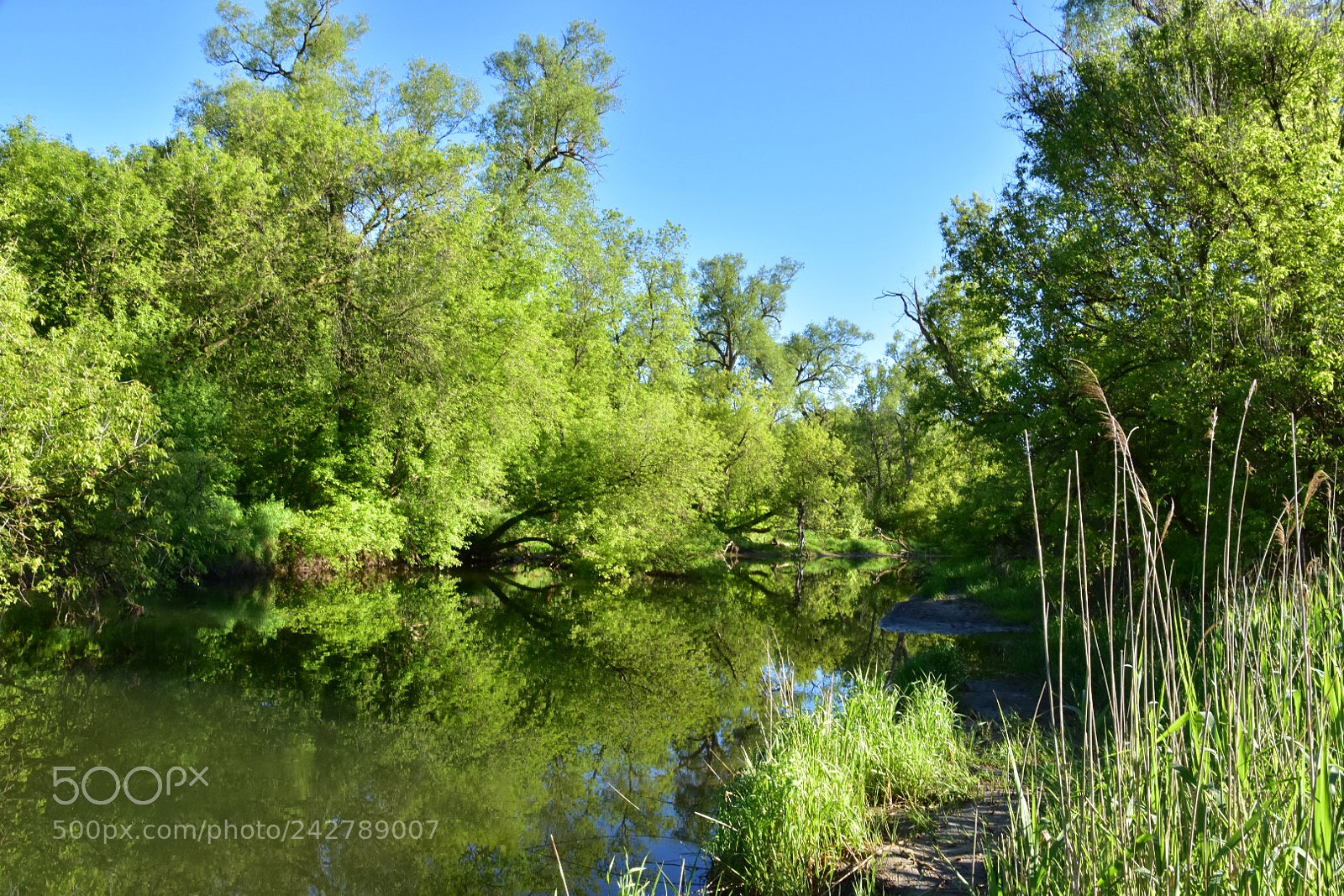 Nikon D7200 sample photo. Untitled photography