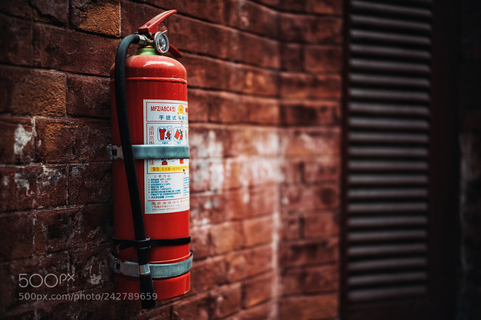 Sony a7 II sample photo. Untitled photography