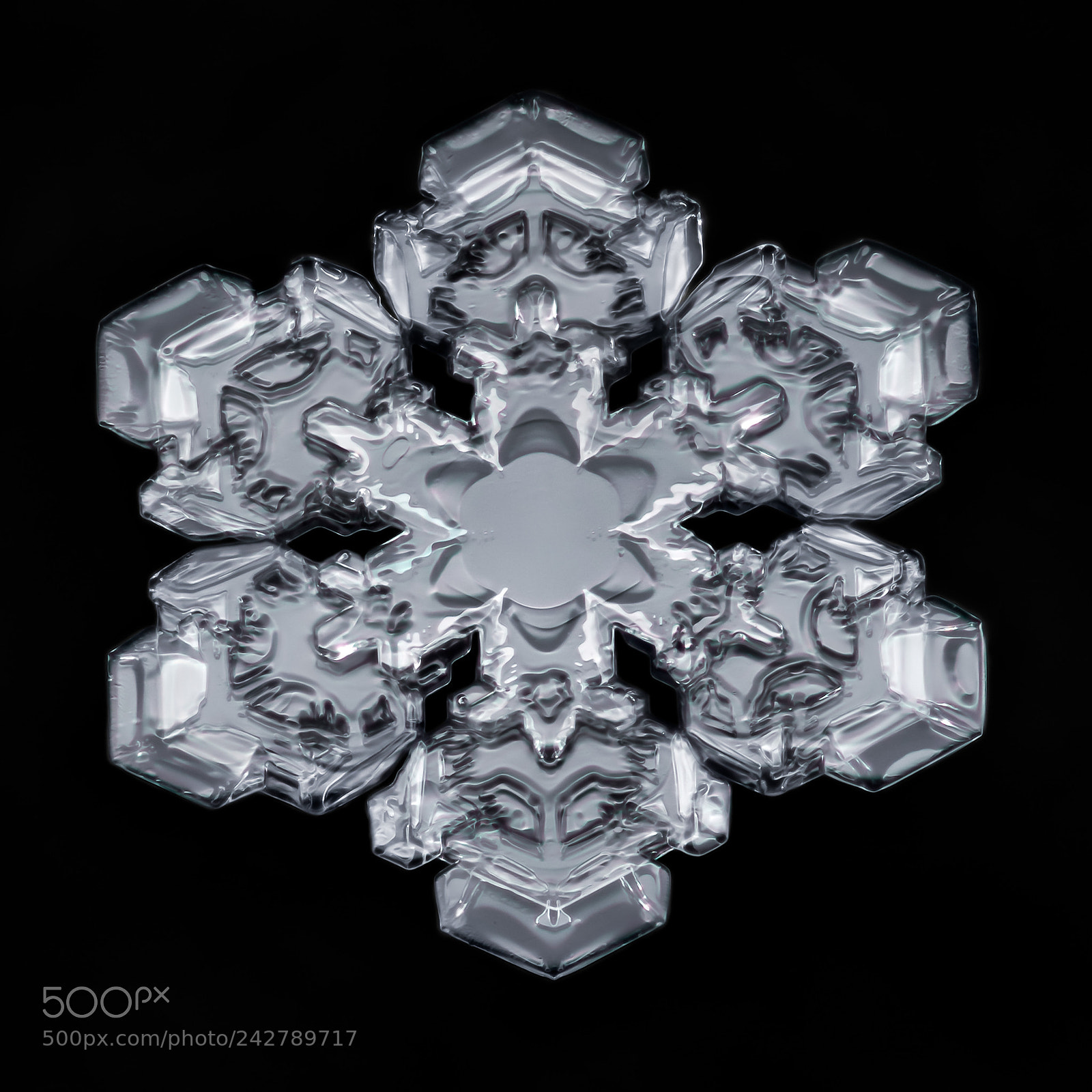 Canon EOS-1D X Mark II sample photo. Snowflake-a-day no. 36 photography