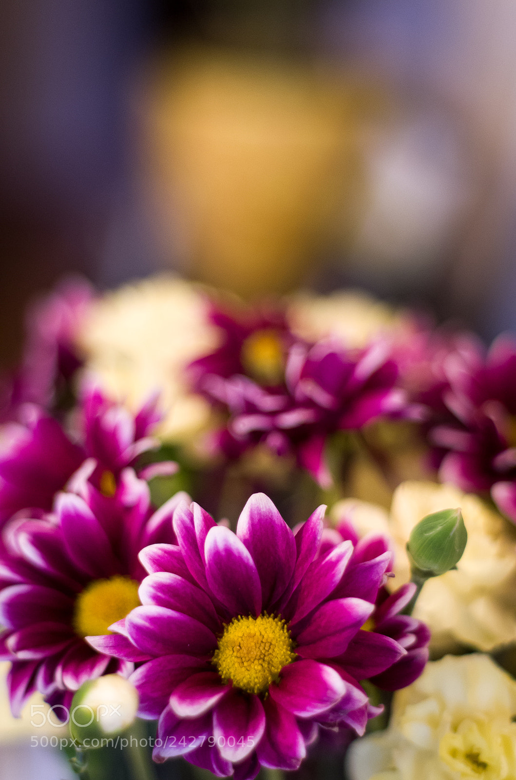 Pentax K-50 sample photo. Flowers inside photography