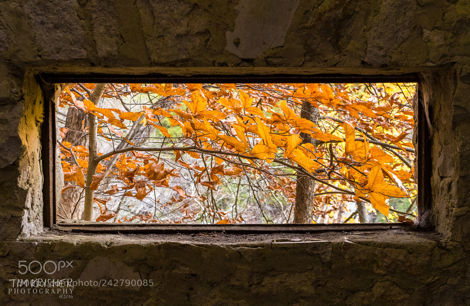 Pentax K-50 sample photo. Window to fall photography
