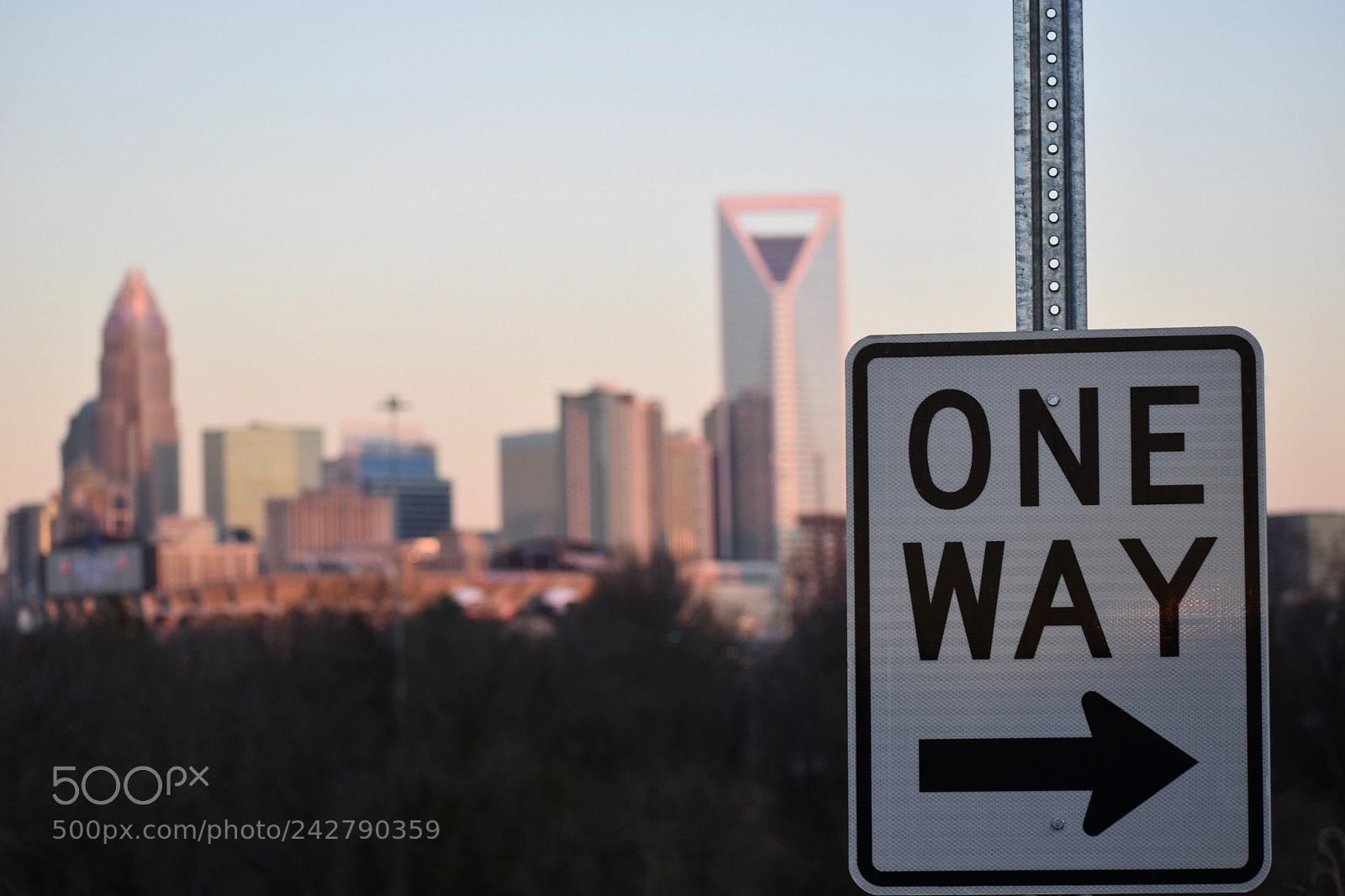 Nikon D5600 sample photo. Charlotte - road sign photography