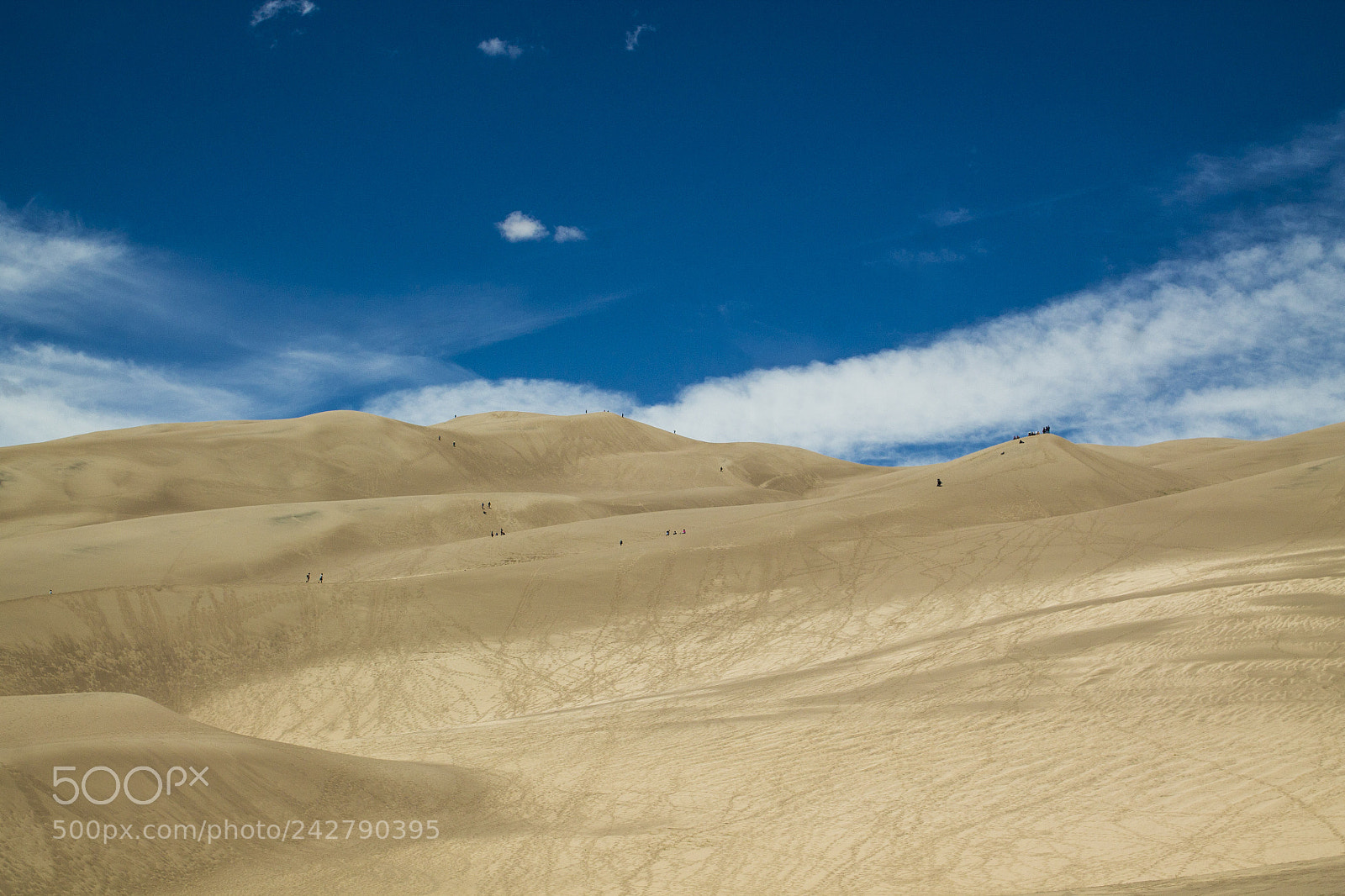 Canon EOS 1100D (EOS Rebel T3 / EOS Kiss X50) sample photo. Sand dunes photography