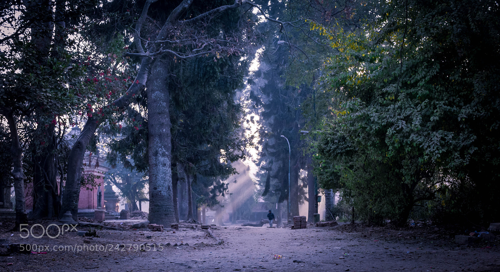 Nikon D7200 sample photo. Morning peace photography