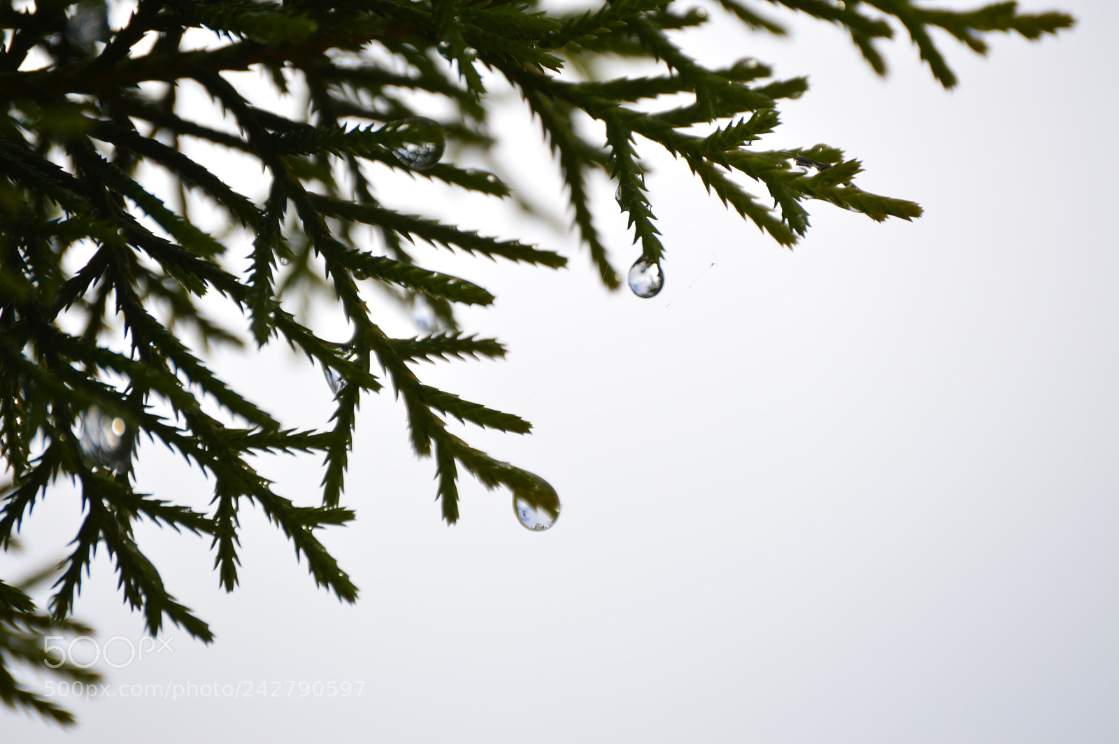 Nikon D3200 sample photo. Untitled photography