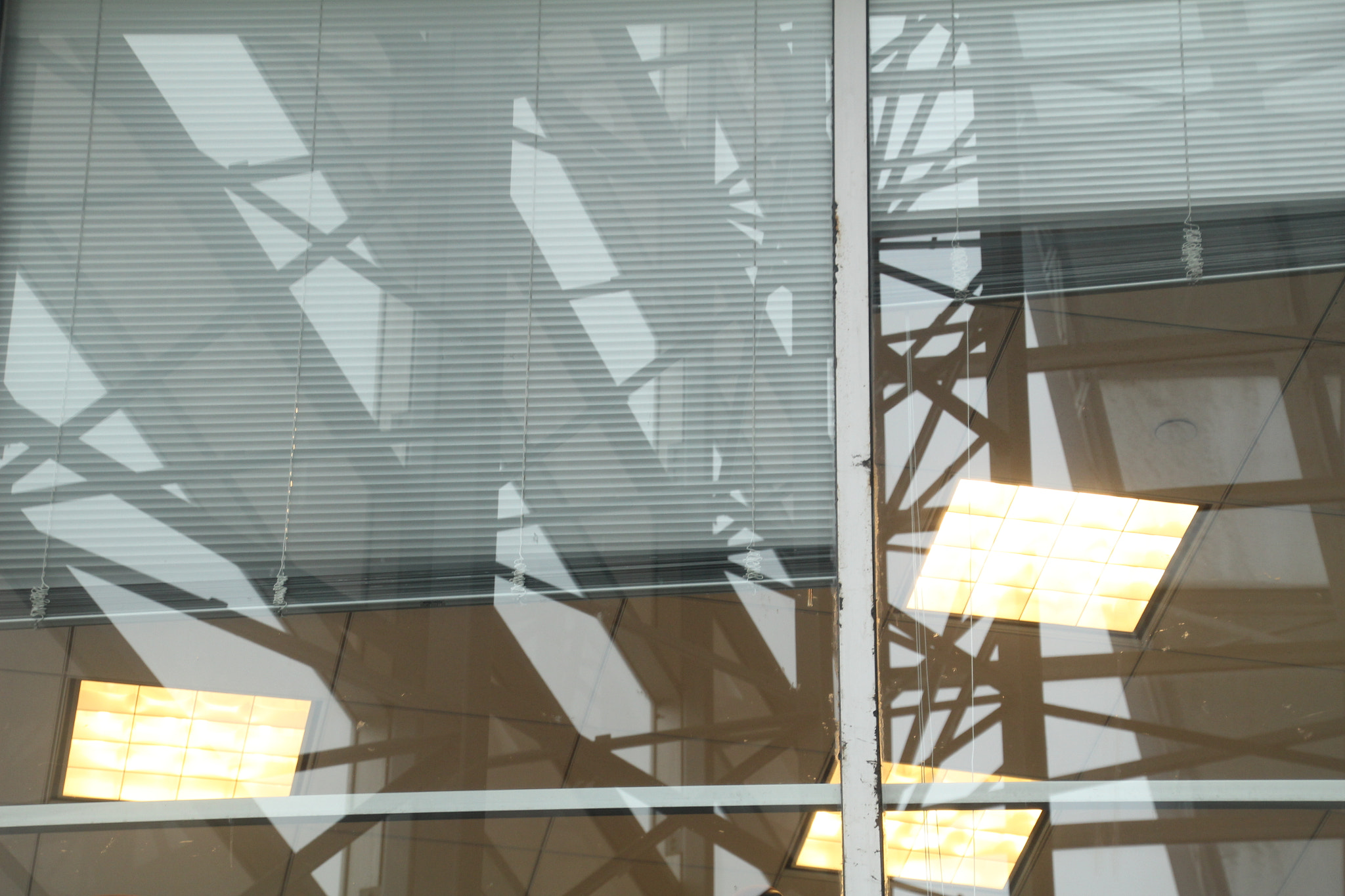Canon EOS 1200D (EOS Rebel T5 / EOS Kiss X70 / EOS Hi) sample photo. Fluorescent lights and many windows. 熒光燈和許多窗口。 photography