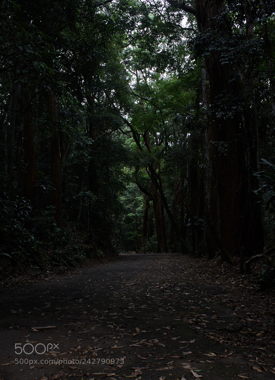 Canon EOS 40D sample photo. Excelsior trail photography