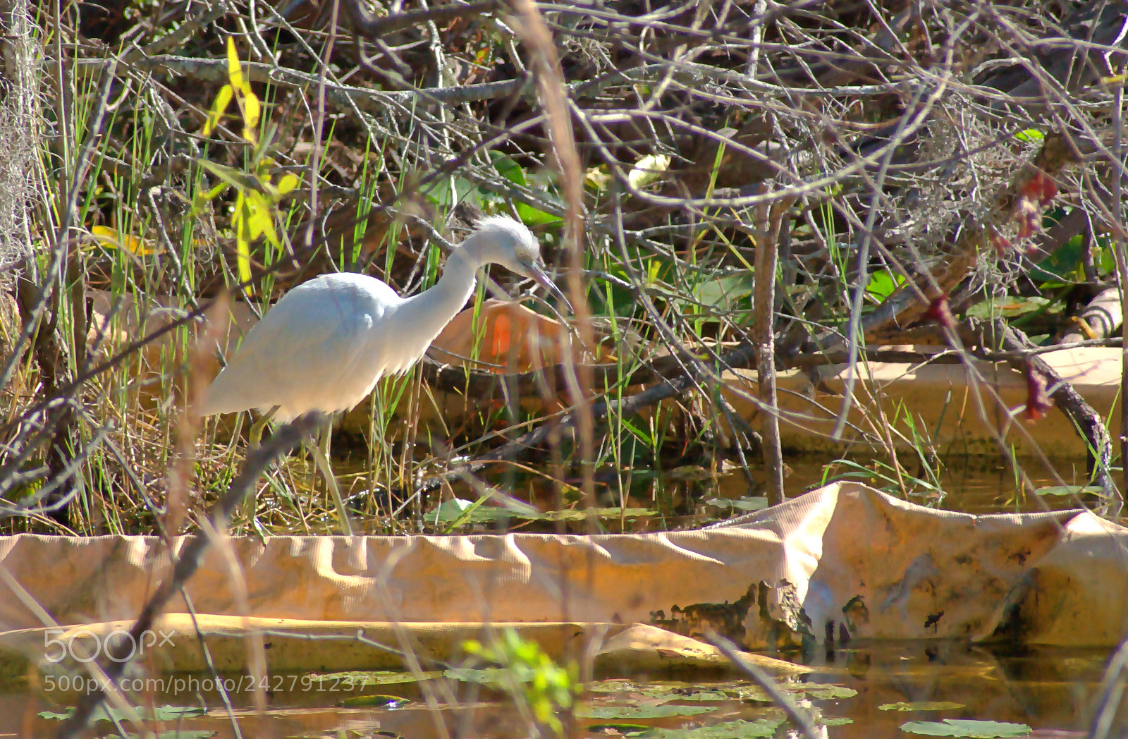 Nikon D3400 sample photo. Dsc photography