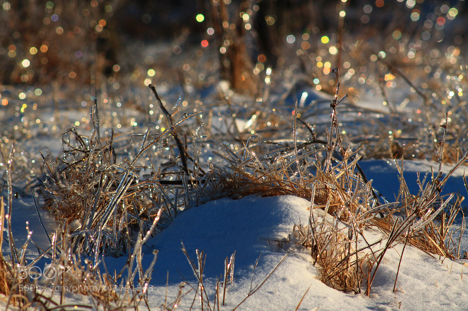 Canon EOS 1100D (EOS Rebel T3 / EOS Kiss X50) sample photo. Glittery ice photography