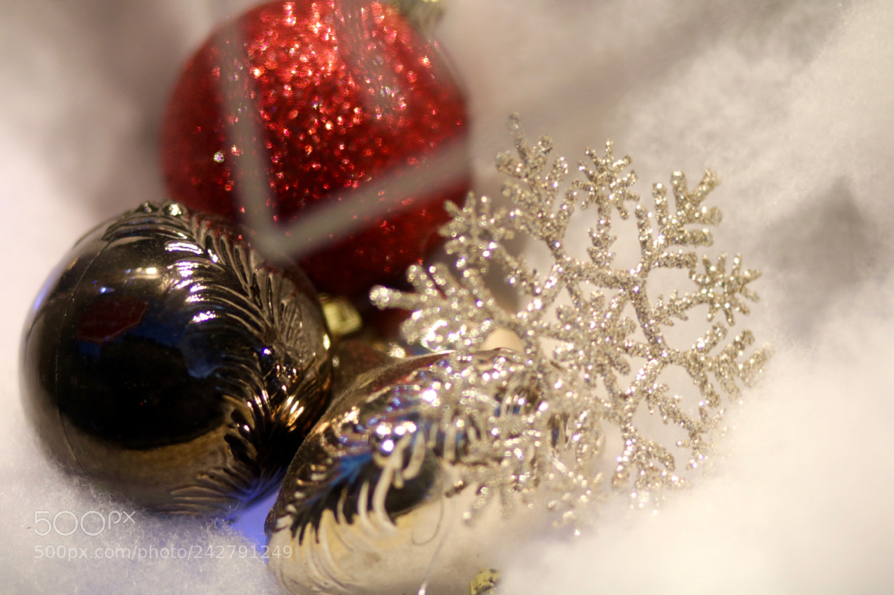 Canon EOS 750D (EOS Rebel T6i / EOS Kiss X8i) sample photo. December abstract photography