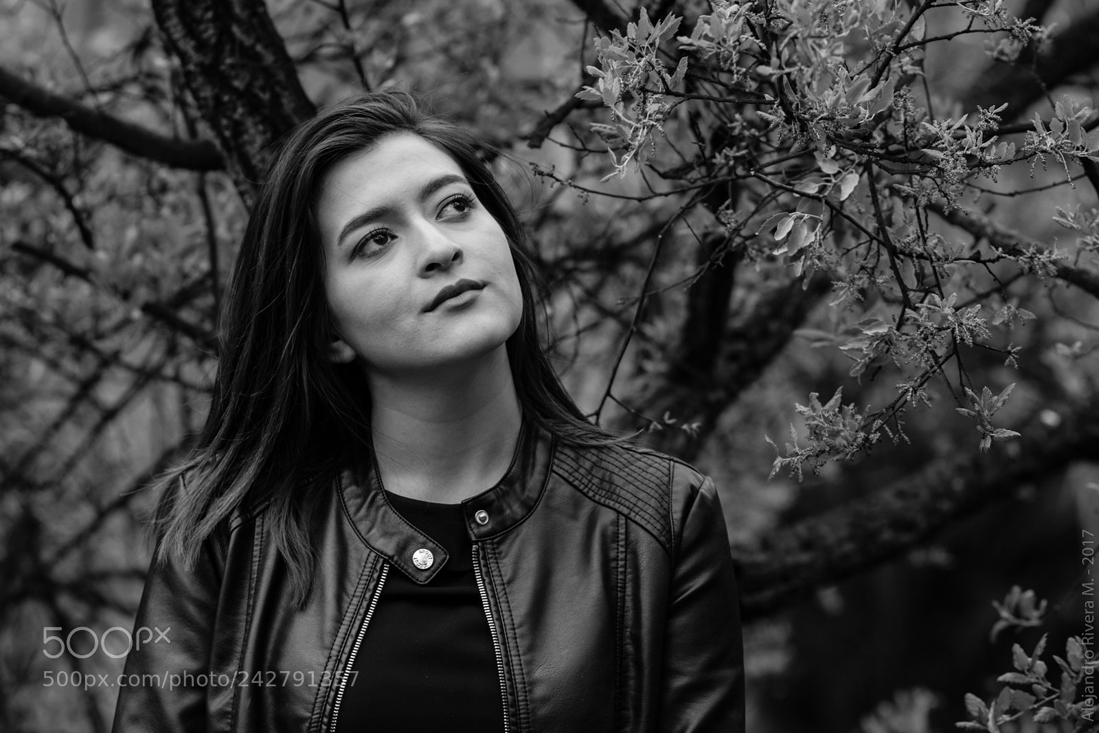 Canon EOS 760D (EOS Rebel T6s / EOS 8000D) sample photo. Catari portrait photography