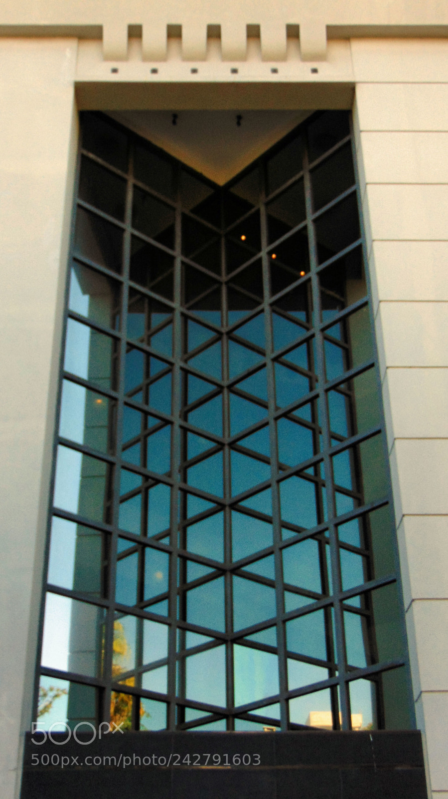 Sony Cyber-shot DSC-H300 sample photo. Reflex photography