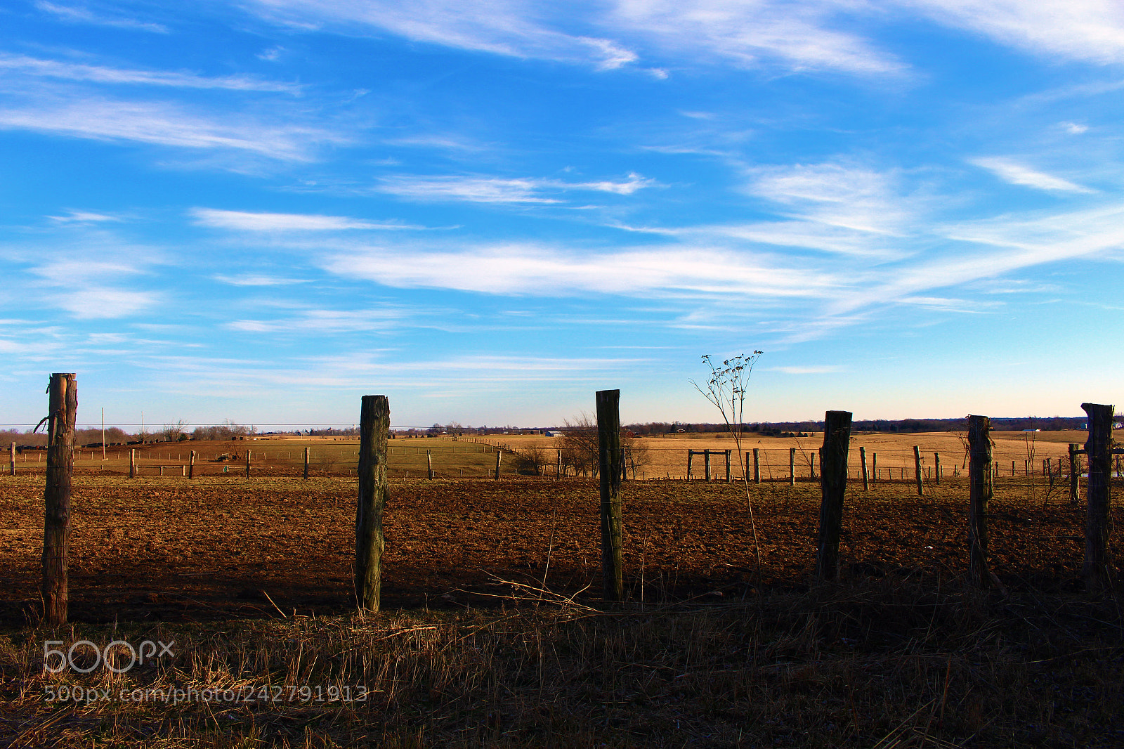 Canon EOS 700D (EOS Rebel T5i / EOS Kiss X7i) sample photo. Rural field photography