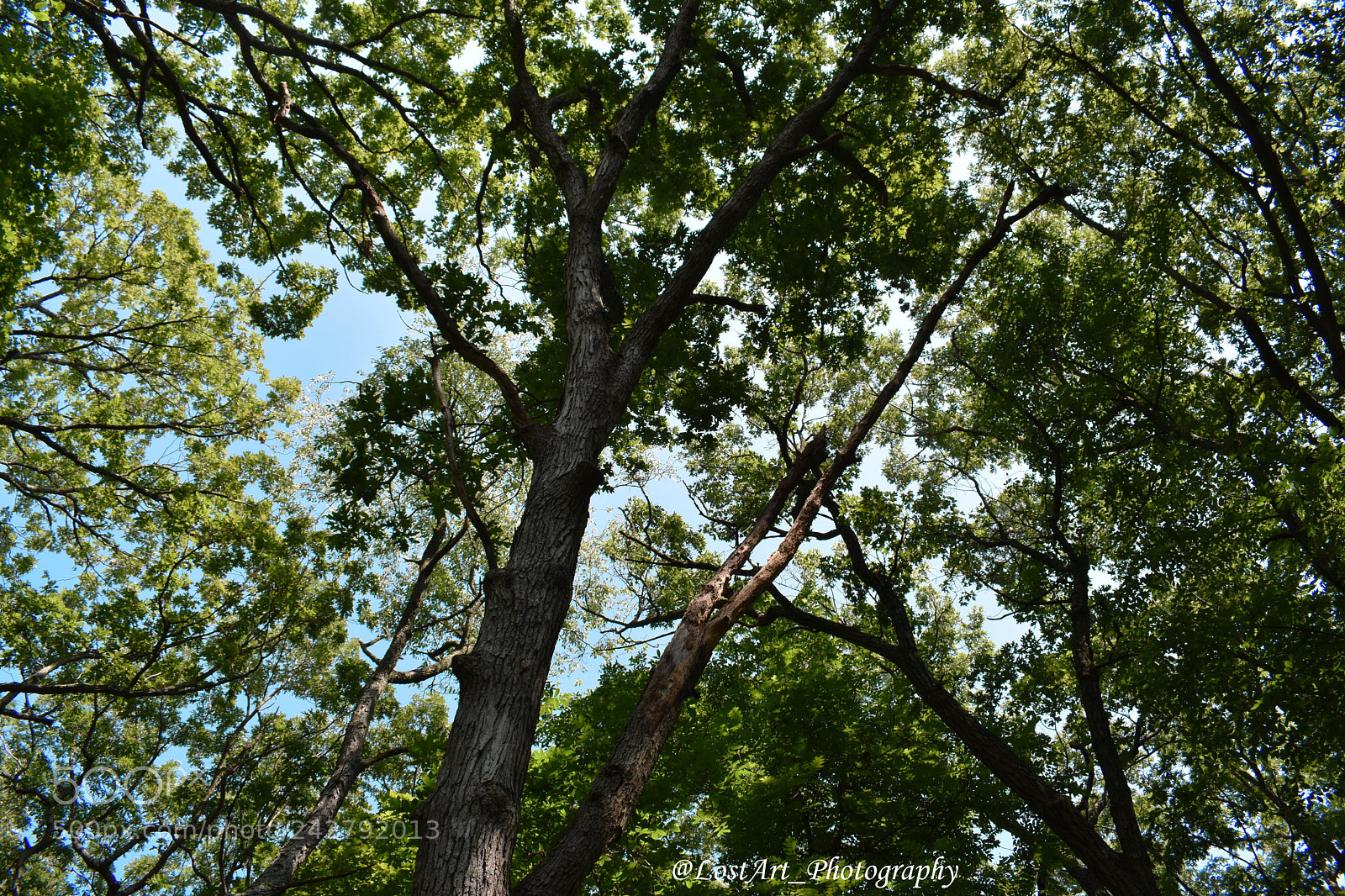Nikon D3400 sample photo. • • • photography